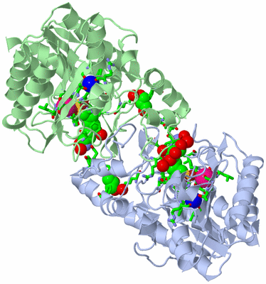 Image Asym./Biol. Unit - sites