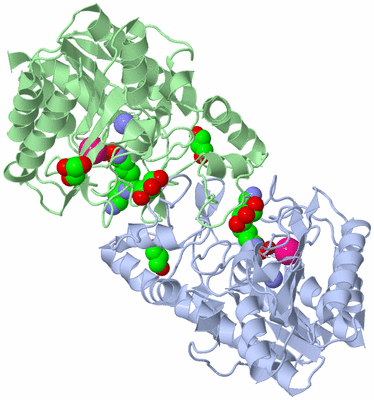 Image Asym./Biol. Unit