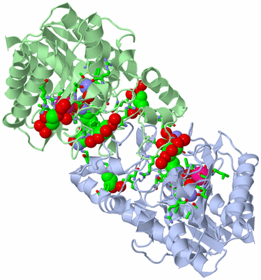 Image Asym./Biol. Unit - sites