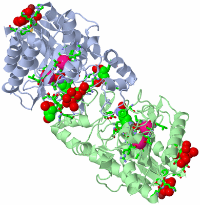 Image Asym./Biol. Unit - sites