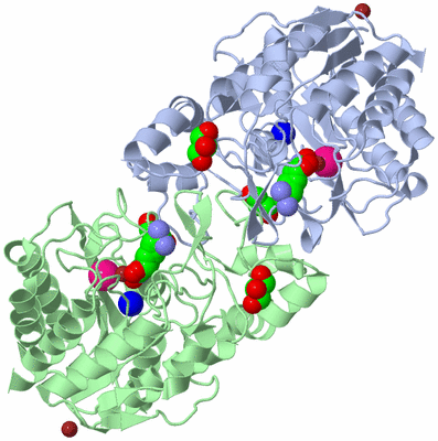 Image Asym./Biol. Unit