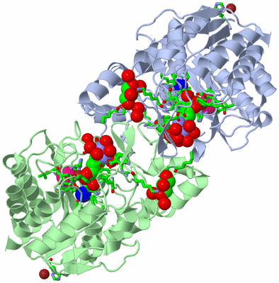 Image Asym./Biol. Unit - sites