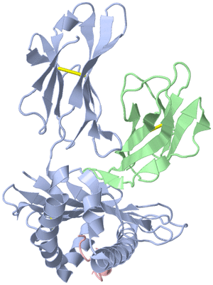 Image Biological Unit 1