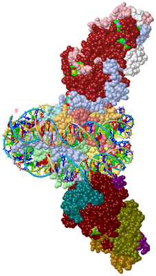 Image Biol. Unit 1 - sites