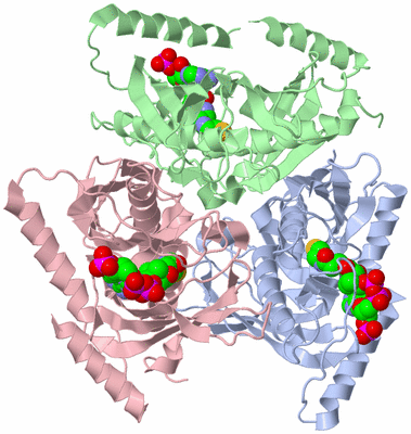 Image Asym./Biol. Unit