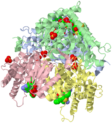 Image Asym./Biol. Unit