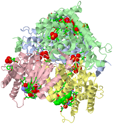 Image Asym./Biol. Unit - sites