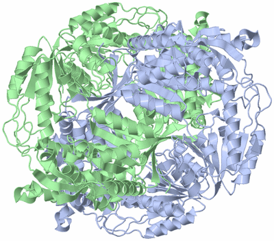 Image Biological Unit 1