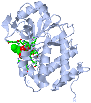 Image Biol. Unit 1 - sites