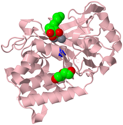 Image Biological Unit 3