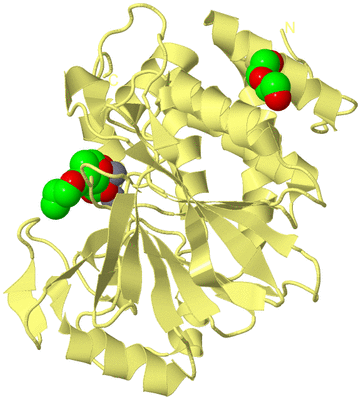 Image Biological Unit 4