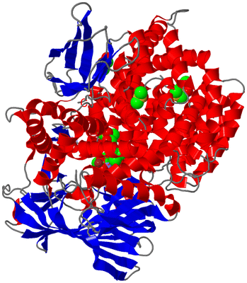 Image Asym./Biol. Unit