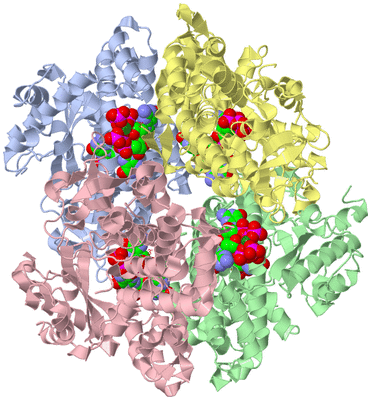 Image Biological Unit 1