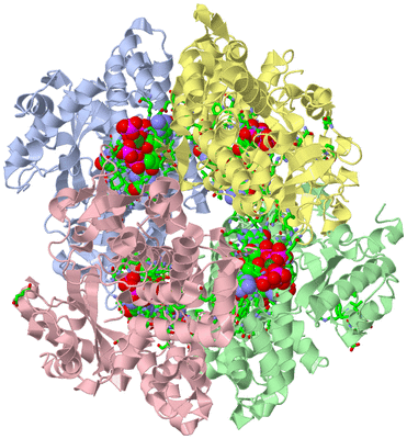 Image Biol. Unit 1 - sites