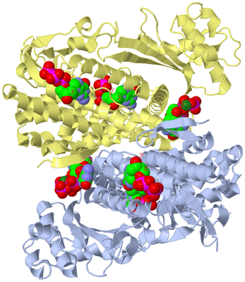 Image Biological Unit 2