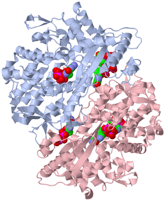 Image Biological Unit 3