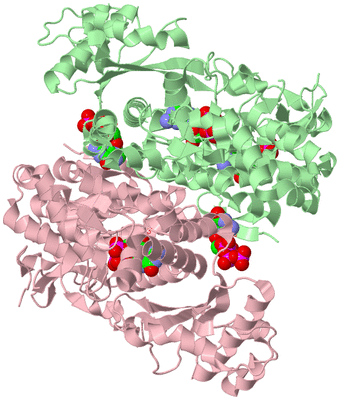 Image Biological Unit 4