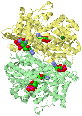 Image Biological Unit 5