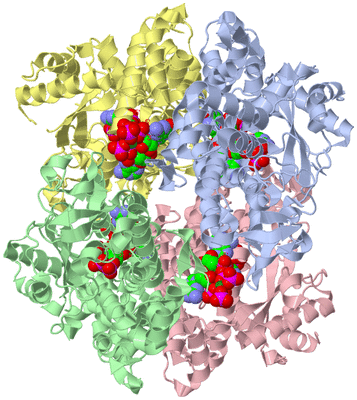 Image Biological Unit 1