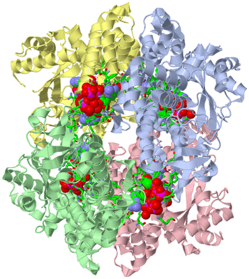 Image Biol. Unit 1 - sites