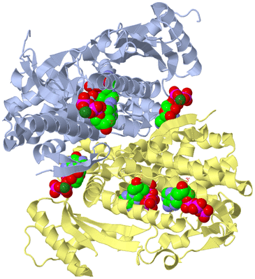 Image Biological Unit 2