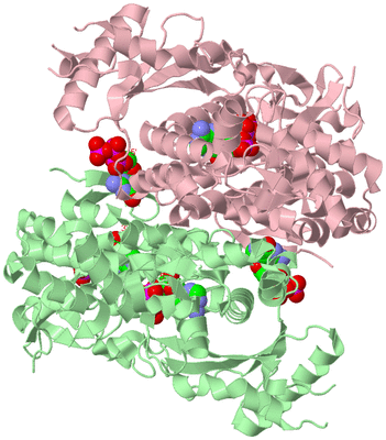 Image Biological Unit 3