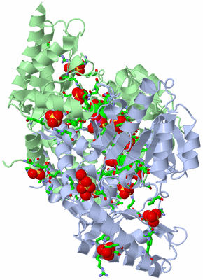 Image Asym./Biol. Unit - sites