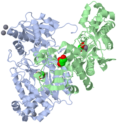 Image Asym./Biol. Unit