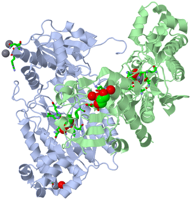 Image Asym./Biol. Unit - sites