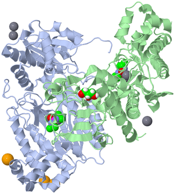 Image Asym./Biol. Unit