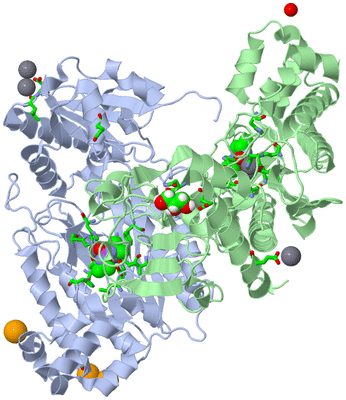 Image Asym./Biol. Unit - sites