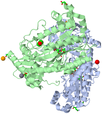 Image Asym./Biol. Unit - sites