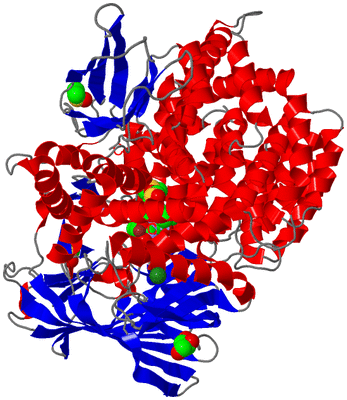 Image Asym./Biol. Unit