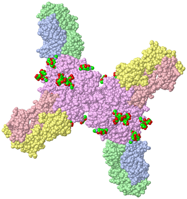 Image Biological Unit 1