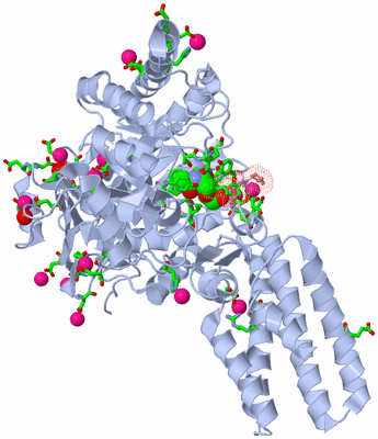 Image Asym./Biol. Unit - sites