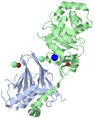 Image Biological Unit 1