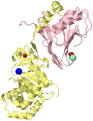 Image Biological Unit 2