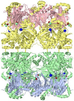 Image Biological Unit 3