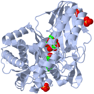 Image Biological Unit 1