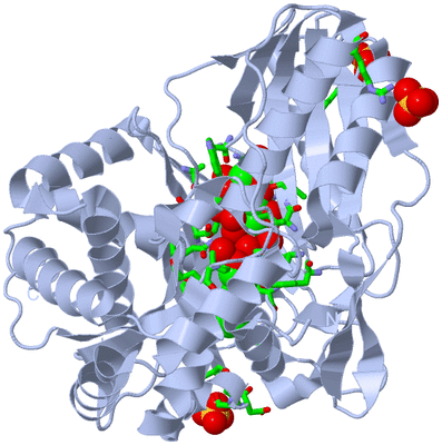 Image Biol. Unit 1 - sites