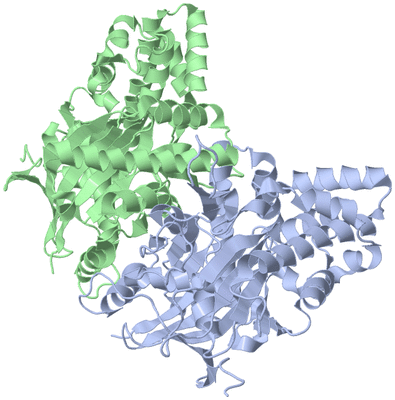Image Asym./Biol. Unit