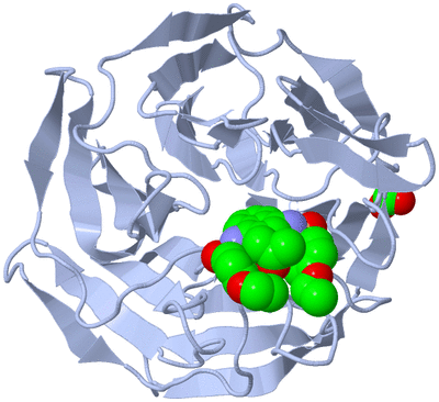 Image Biological Unit 1