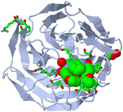 Image Biol. Unit 1 - sites