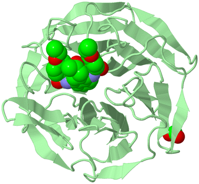 Image Biological Unit 2