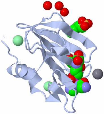 Image Biological Unit 1