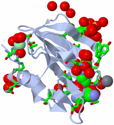 Image Biol. Unit 1 - sites