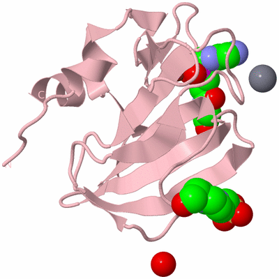 Image Biological Unit 3