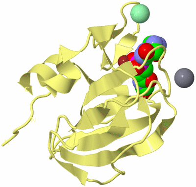 Image Biological Unit 4