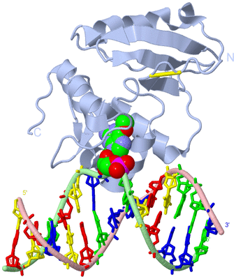 Image Biological Unit 1