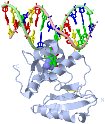 Image Biological Unit 2